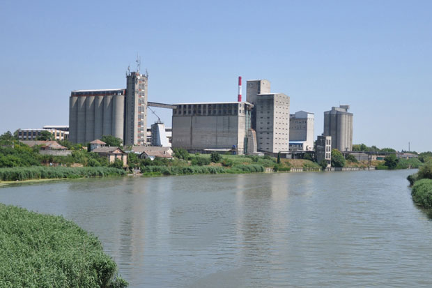 РАДНИЦИМА МРВИЦЕ: Тужна судбина зрењанинске скробаре